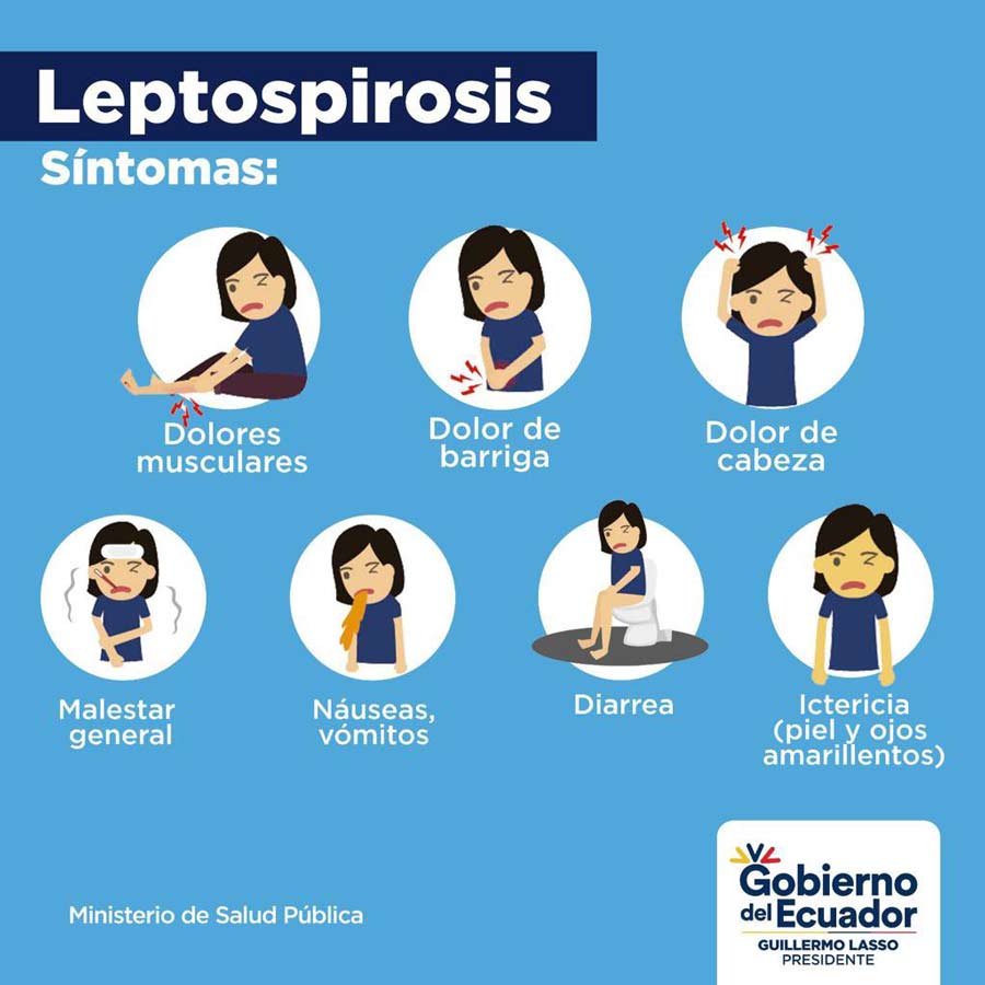 Ante los siguientes síntomas de Leptospirosis acude al centro de salud más cercano a tu domicilio.